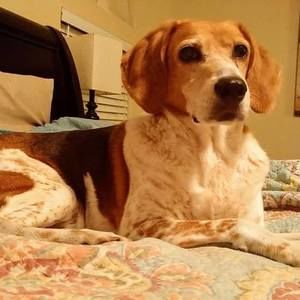 Meet your Posher, Randilyn